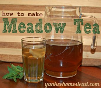 How to Make Meadow Tea