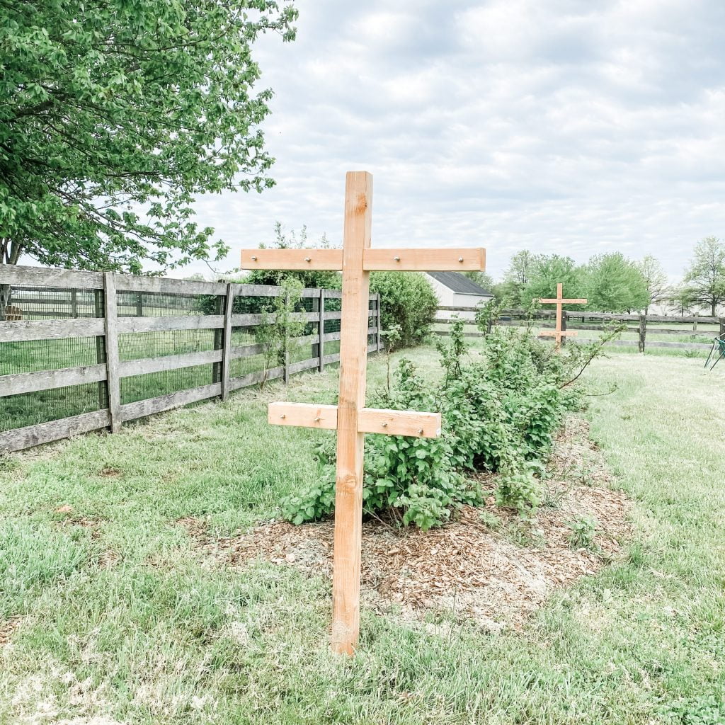 How to Build a Raspberry Trellis