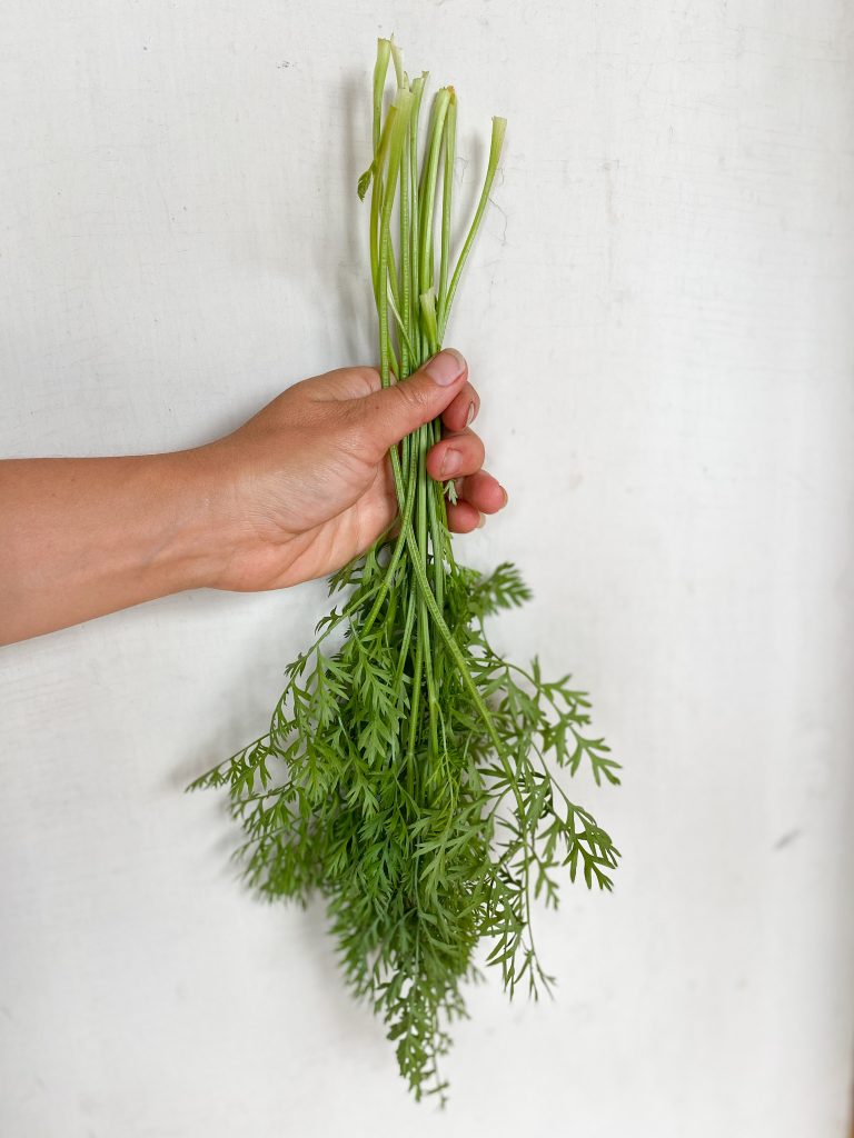 Fresh Carrot Top Pesto | Roots & Boots