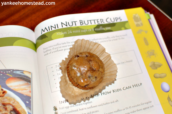 Mini Nut Butter Cups | Yankee Homestead