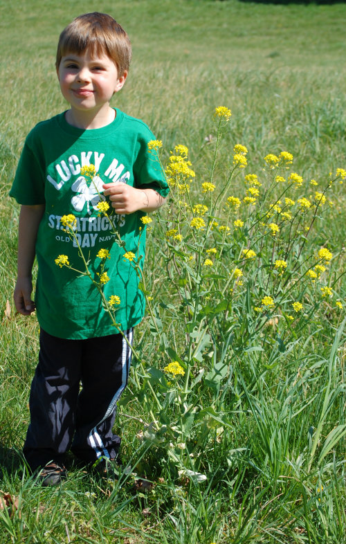 Older Brother with Yellow Rocket