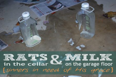 Rats in the Cellar & Milk on the Garage Floor