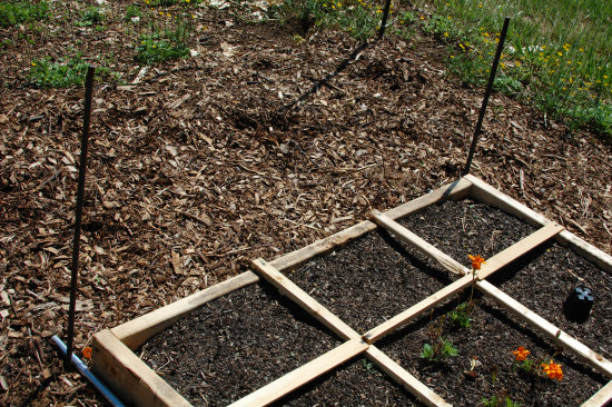 Square Foot Gardening--Rebar