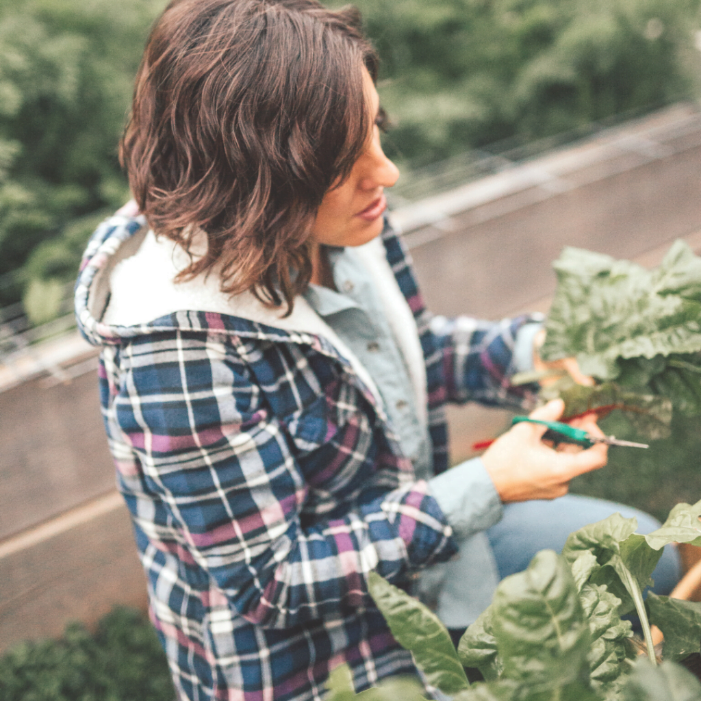 11 Ways to Use Swiss Chard | Yankee Homestead