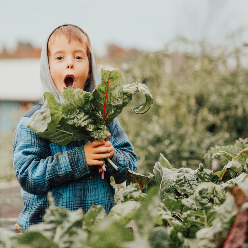 11 Ways to Use Swiss Chard