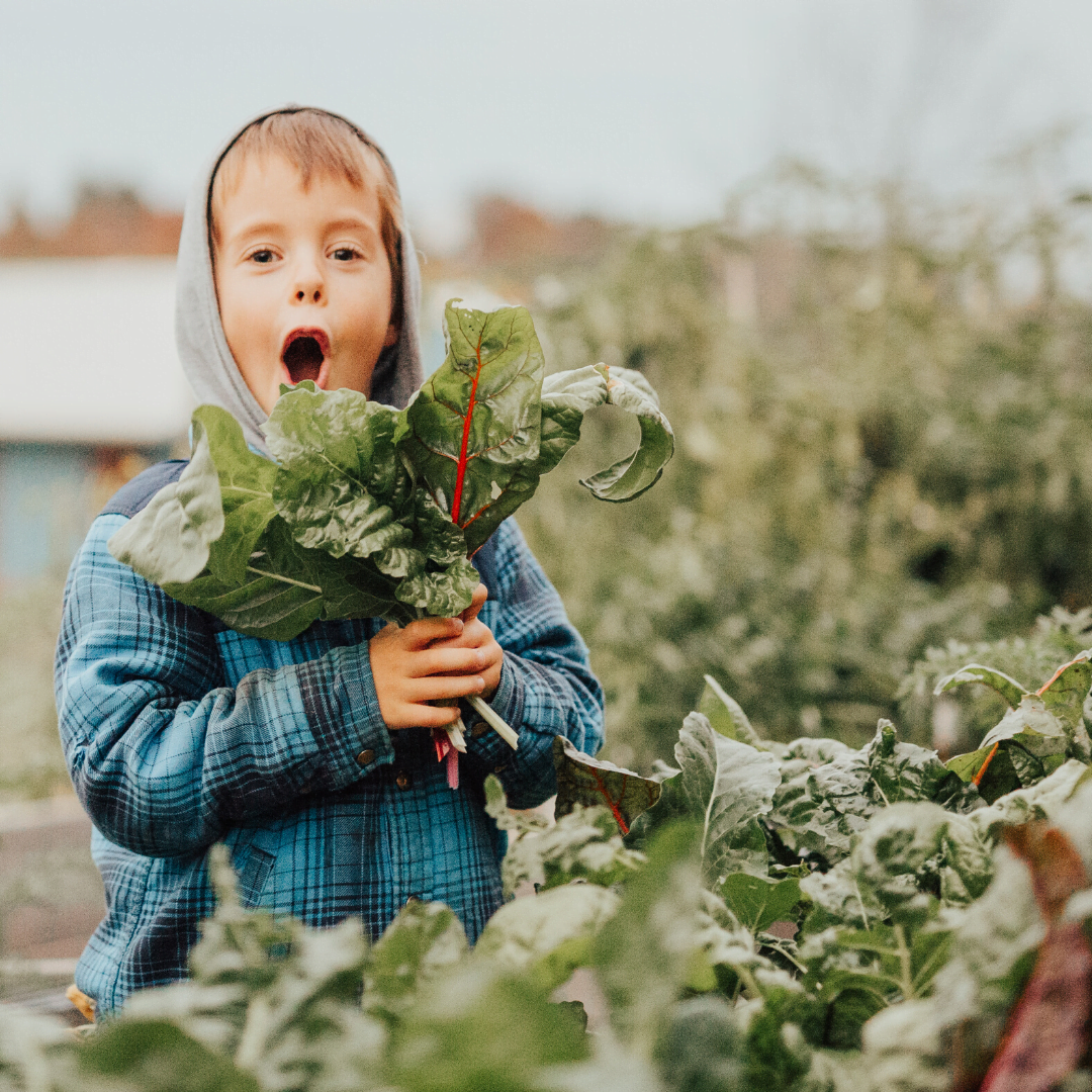 11 Ways to Use Swiss Chard