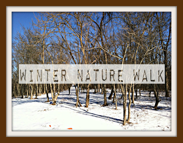 Winter Nature Walk