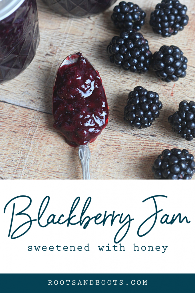 Honey Sweetened Blackberry Jam | Roots & Boots