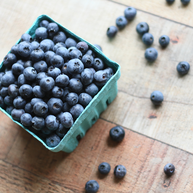 25 Paleo Blueberry Recipes