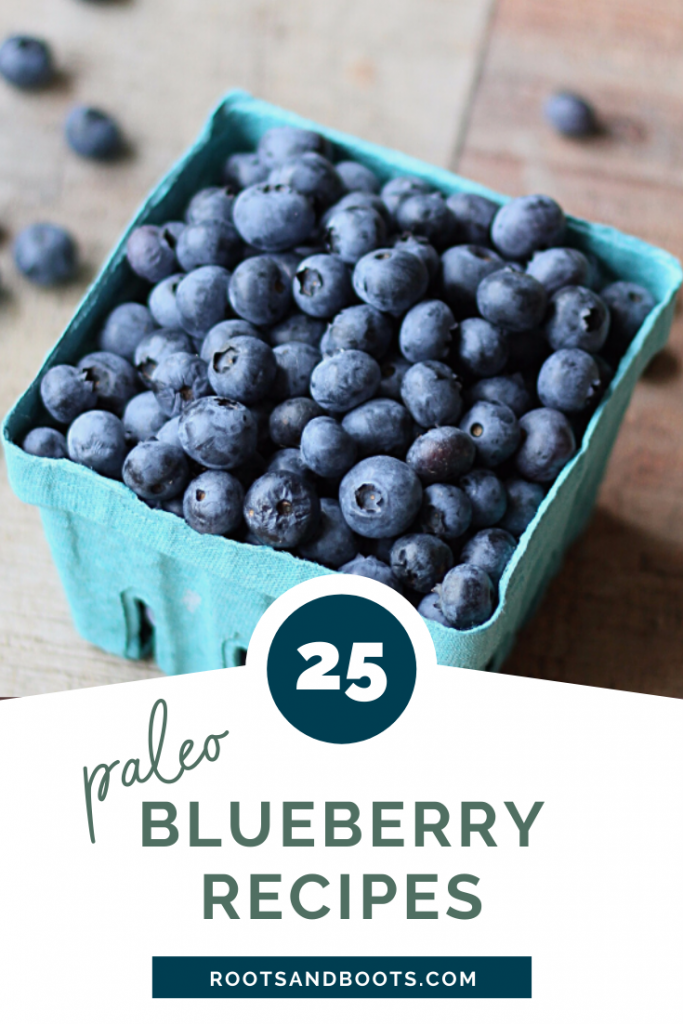 25 Paleo Blueberry Recipes | Roots & Boots