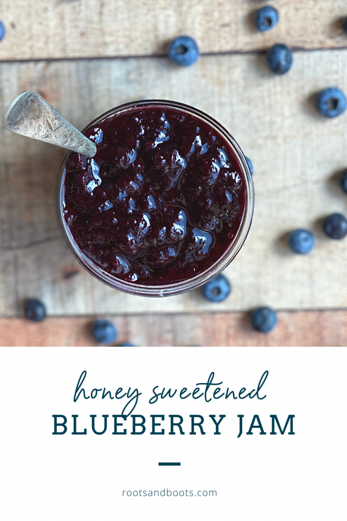 Honey Sweetened Blueberry Jam Without Pectin | Roots & Boots