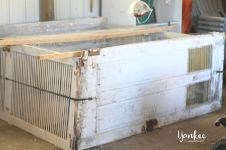 How to Raise Pastured Poultry