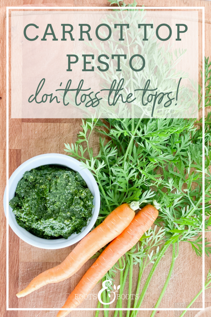 Fresh Carrot Top Pesto | Roots & Boots