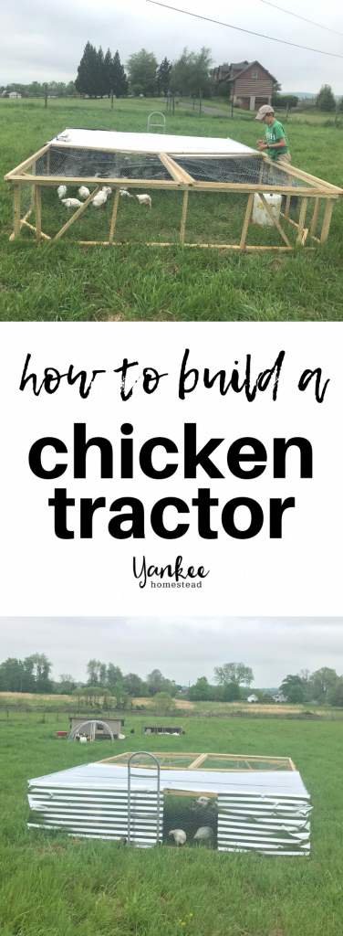 How to Build A Chicken Tractor | Yankee Homestead