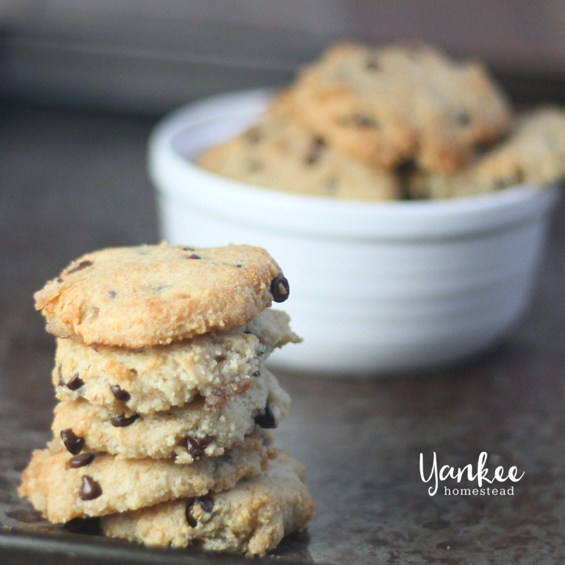 Egg-Free Paleo Chocolate Chip Cookies | Yankee Homestead