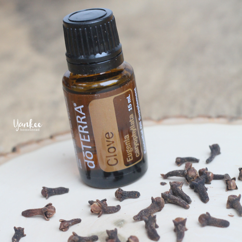 12 Ways to Use Clove Oil