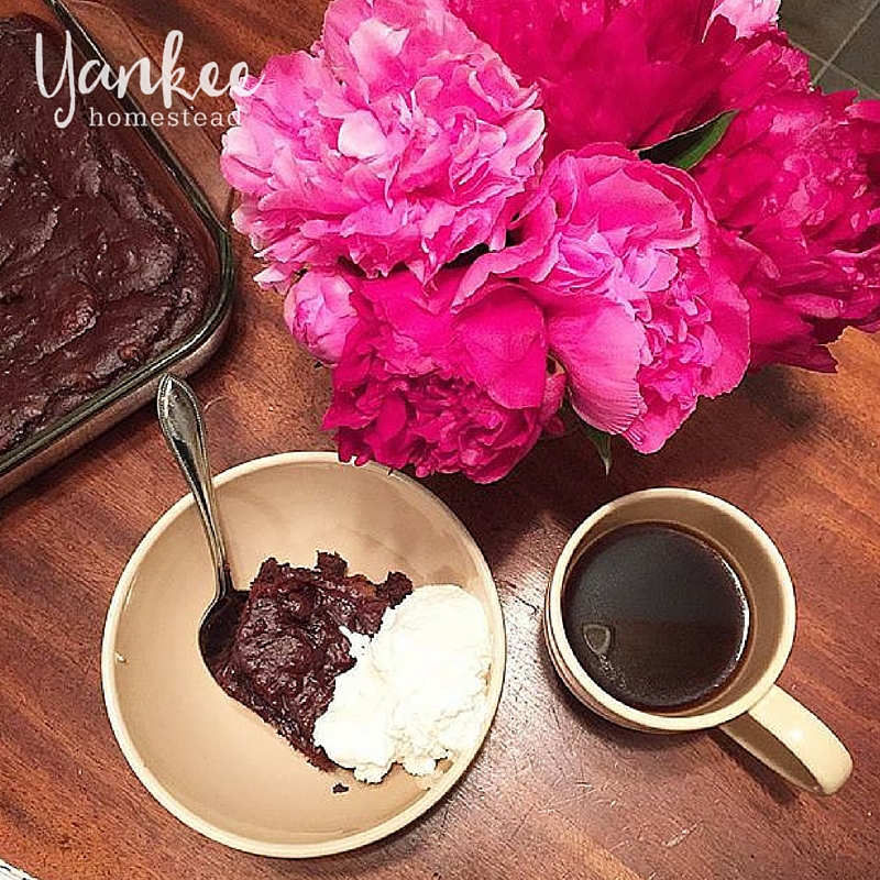 Dandelion Root Coffee | Yankee Homestead