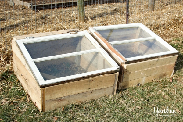 Cold Frames | Yankee Homestead
