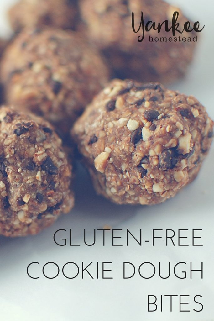 Gluten Free Cookie Dough Bites | Yankee Homestead