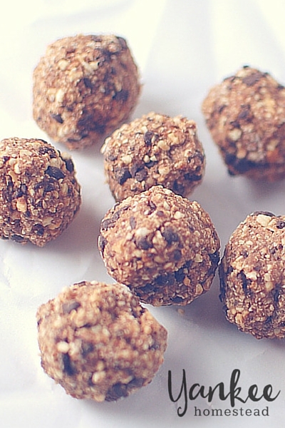 Gluten Free Cookie Dough Bites | Yankee Homestead