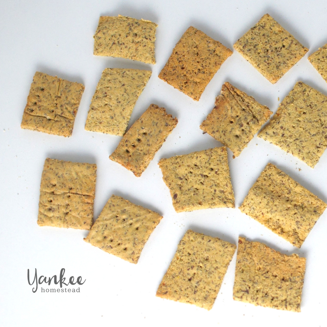 Gluten Free Homemade Crackers with Fava Flour