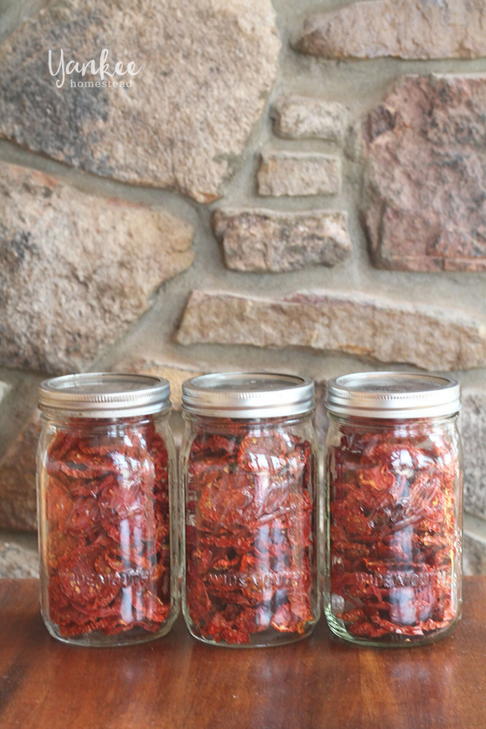 7 Ways to Use Dehydrated Tomatoes | Yankee Homestead