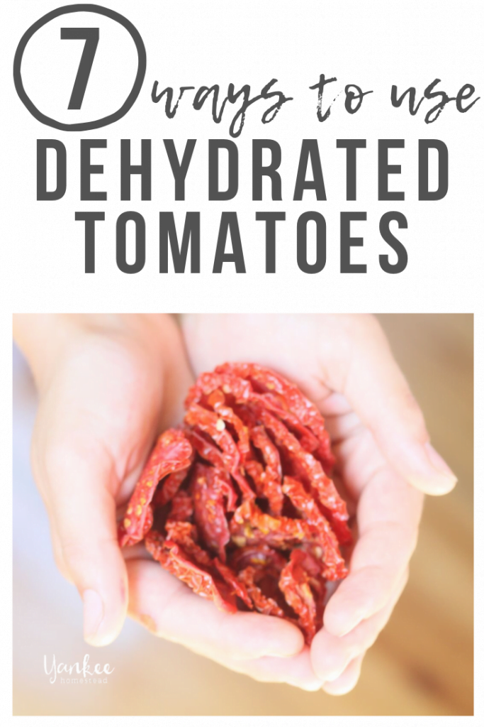 7 Ways to Use Dehydrated Tomatoes | Yankee Homestead