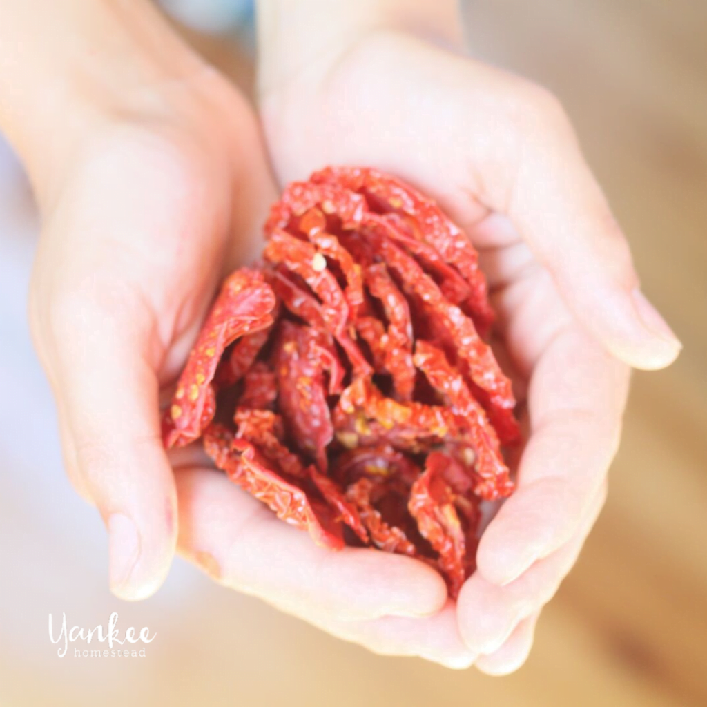 7 Ways to Use Dehydrated Tomatoes 7 Ways to Use Dehydrated Tomatoes