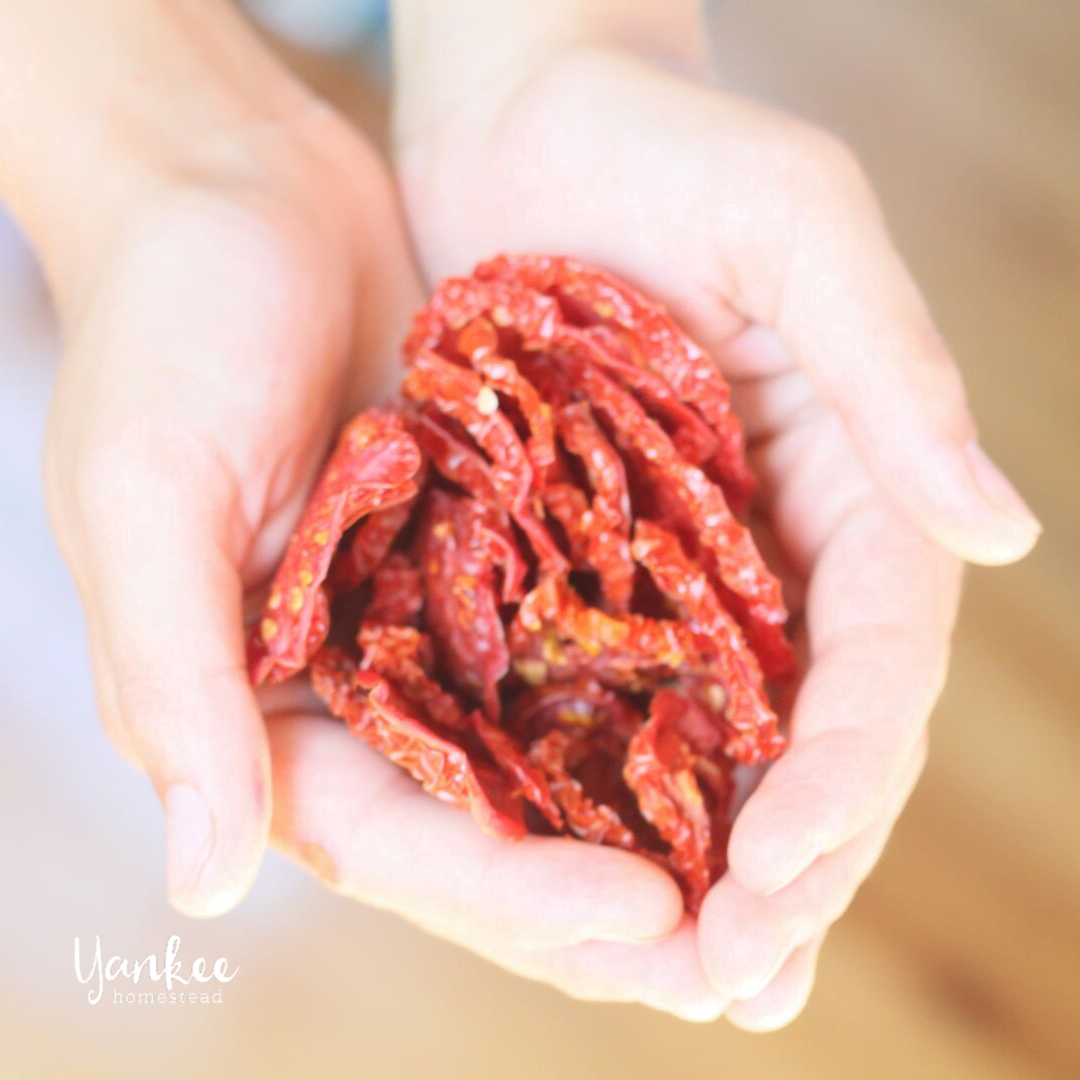 7 Ways to Use Dehydrated Tomatoes