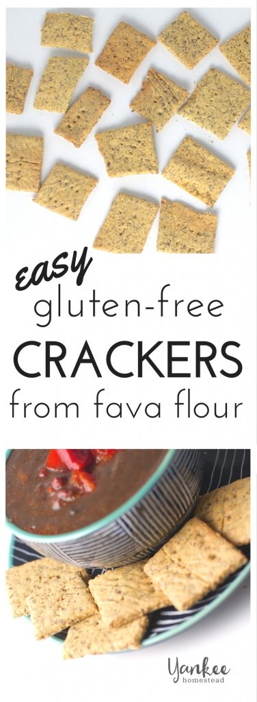 Gluten Free Homemade Crackers with Fava Flour | Yankee Homestead