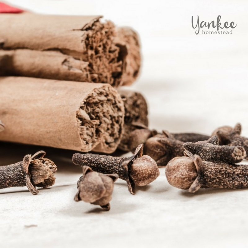 Boost Your Immune System with Homemade Elderberry Syrup | Yankee Homestead