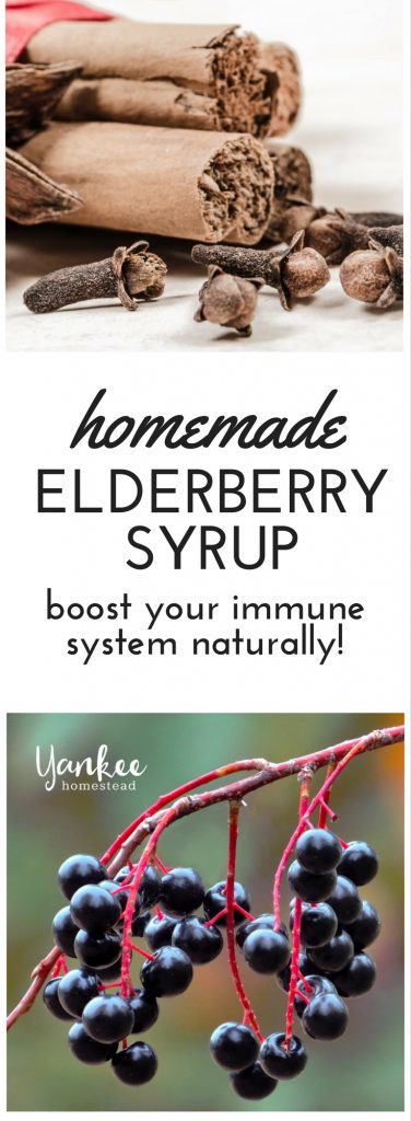 Be prepared for the cold and flu season. Boost your immune system naturally with this simple homemade elderberry syrup. Perfect for kids, too! | Yankee Homestead