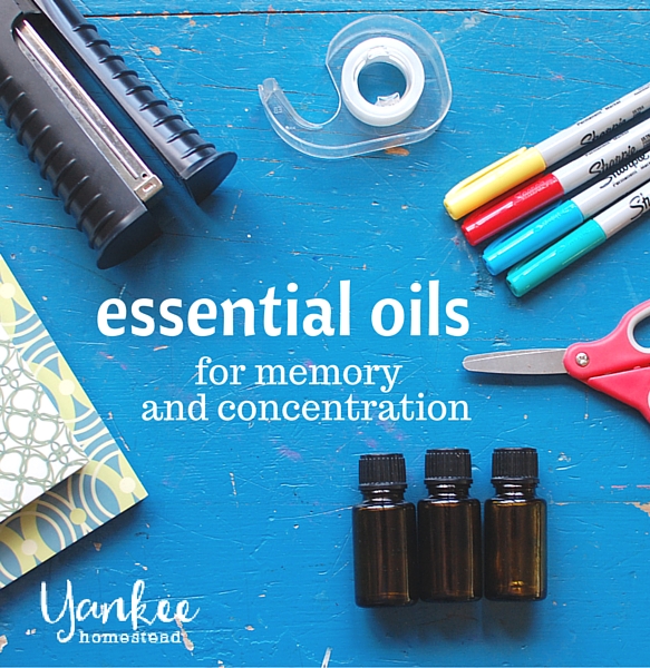 Essential Oils for Memory and Concentration