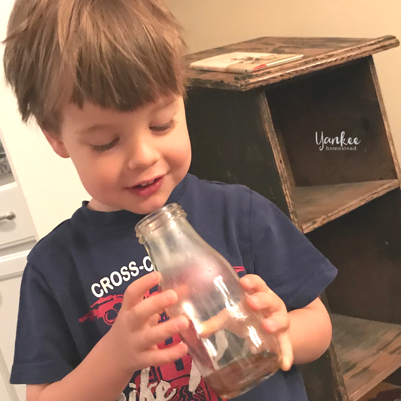 How to Flavor Kombucha with Essential Oils | Yankee Homestead