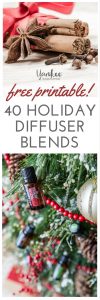 Free Printable List of 40 Holiday Diffuser Blends: Frosted Citrus