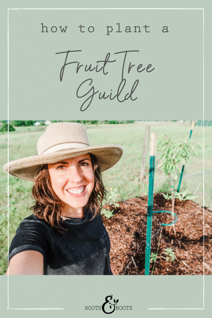 How to Plant a Fruit Tree Guild | Roots & Boots