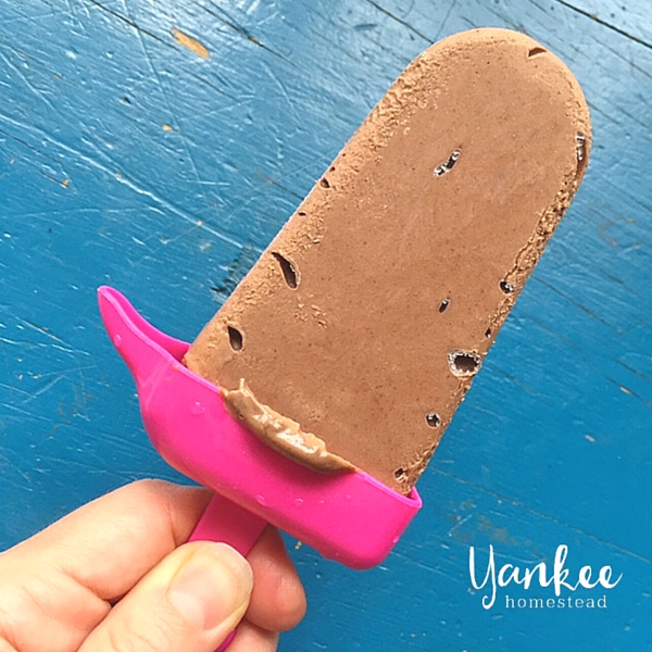 3-Ingredient Fudgy Pops | Yankee Homestead