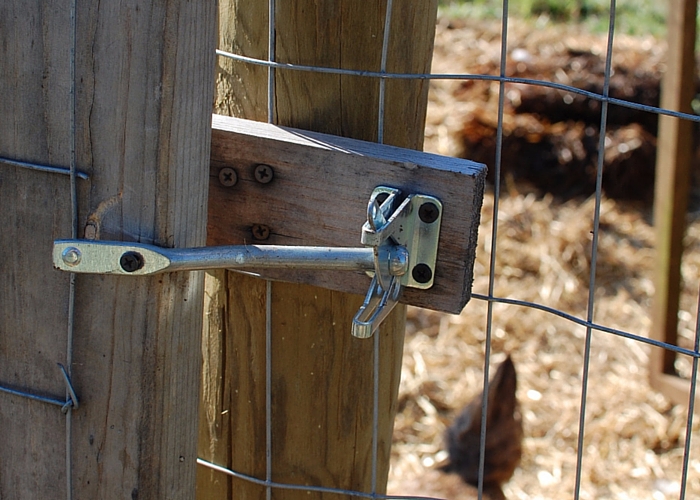 How to Build a Chicken Run