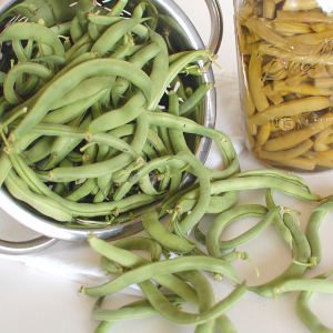 How to Can Green Beans: Step-by-Step Instructions