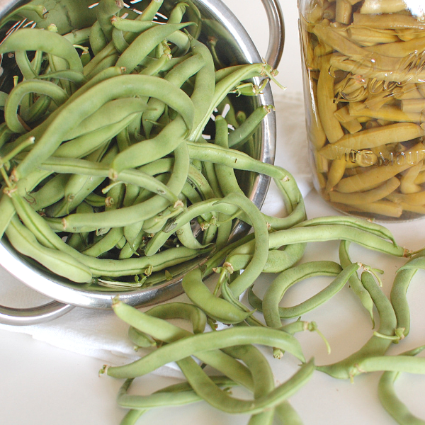 How to Can Green Beans: Step-by-Step Instructions | Roots & Boots