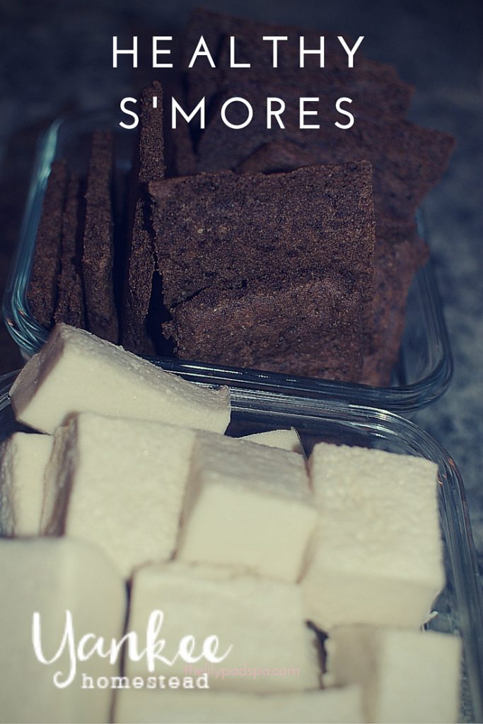 Healthy S'mores | Yankee Homestead