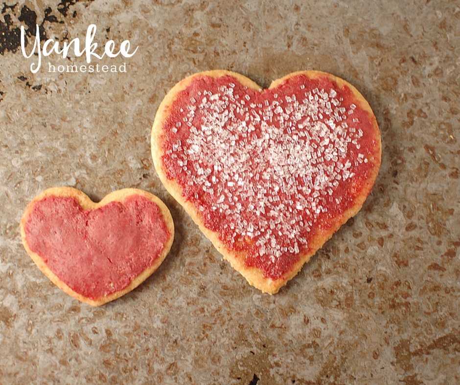 How to Make Your Own Natural Food Coloring | Yankee Homestead