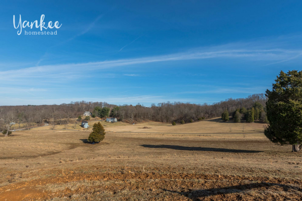 3 Acre Homestead for Sale in Northern Virginia | Yankee Homestead