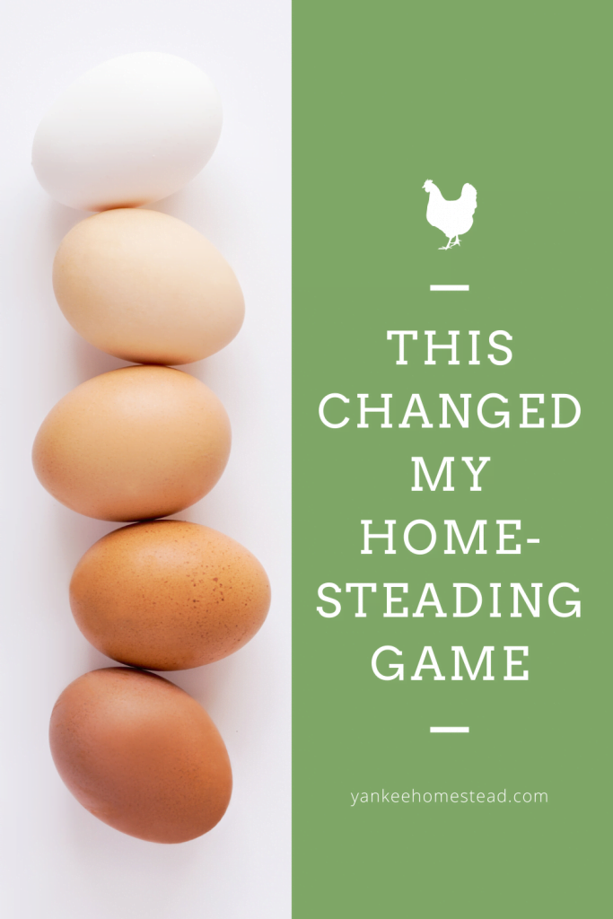 This Changed My Homesteading Game | Yankee Homestead