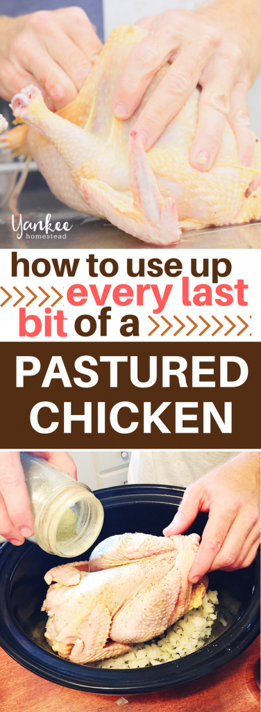 My Pastured Poultry System: How to Use Up Every Last Bit | Yankee Homestead