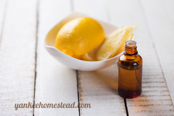 Homemade Lysol Spray with Essential Oils | Yankee Homestead