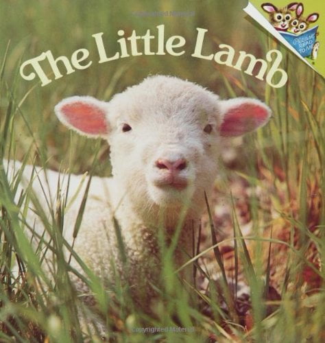 Best Books for Homestead Kids | Yankee Homestead