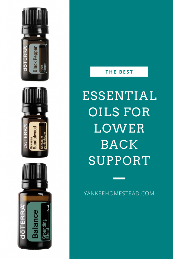 Essential Oils for Lower Back Support | Yankee Homestead