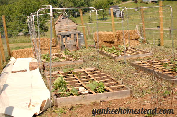 3 Affordable Walkway Materials for the Vegetable Garden - Roots & Boots