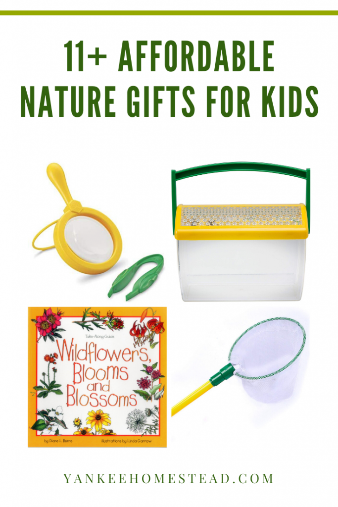 11 Affordable Nature Gifts for Kids | Yankee Homestead